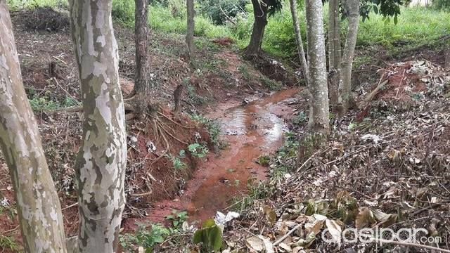 Oferta Vendo Terreno 15 X 50 en Itaguá — foto 3