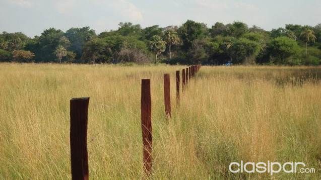 ESTANCIA FORMADA EN BENJAMIN ACEVAL A 91 KM DE ASUNCION SOBRE LA TRANSCHACO — foto 2