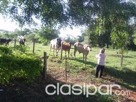 Vendo Terrenos de 400 metros cuadrados en la Zona De Dr Juan Manuel Frutos — foto 2