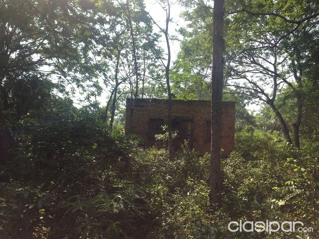 Vendo terreno en luque de 20.000m2 a metros del asfalto Luque-San Bernardino. — foto 2