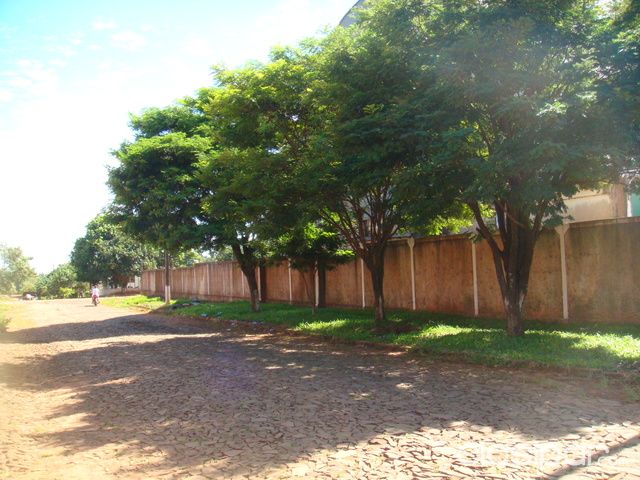 VENDO DEPOSITO — foto 2