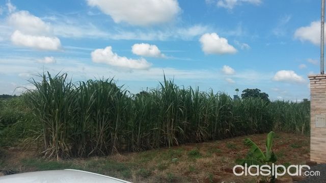 Vendo Hermoso Terreno en Ciudad del Este KM 8 y 9 Monday, a 4 cuadras de la ruta!! — foto 2