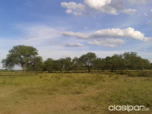 Vendo Estancia Chaco Py Ruta ñ Km 78 — foto 3