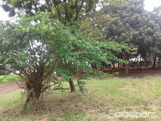 OPRTUNIDAD UNICA!!! VENDO TERRENOS EN EXCLUSIVO BARRIO SAN JOSE DE CIUDAD DEL ESTE!!! — foto 2