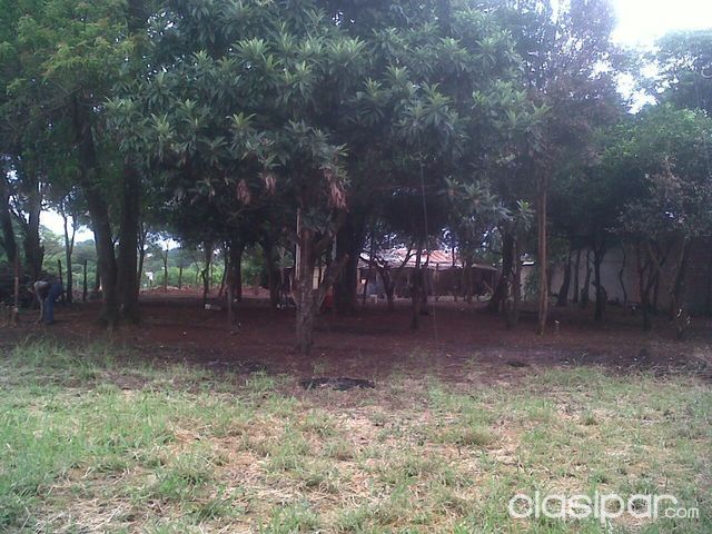 OPRTUNIDAD UNICA!!! VENDO TERRENOS EN EXCLUSIVO BARRIO SAN JOSE DE CIUDAD DEL ESTE!!! — foto 3