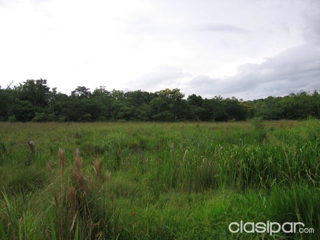 VENDO HERMOSO TERRENO DE 13 HA EN EUSEBIO AYALA (BARRERO GRANDE), CORDILLERA — foto 2