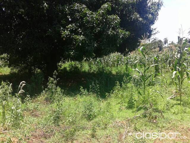 Terreno en Yaguaron — foto 2