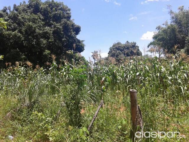 Terreno en Yaguaron — foto 3