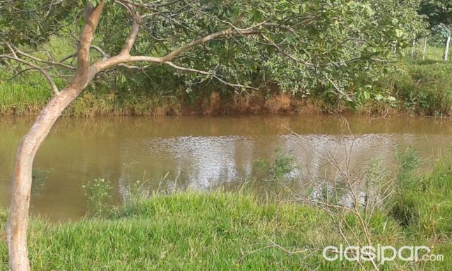Vendo Propiedad en Cnel Oviedo (granja) — foto 3