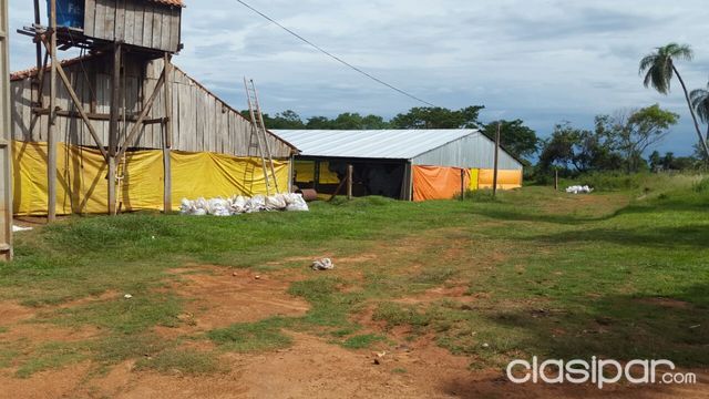 Vendo Propiedad en Cnel Oviedo (granja) — foto 2