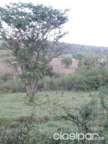 Vendo o cambio hermosa propiedad de 4 ha. con nacientes de agua. — foto 2