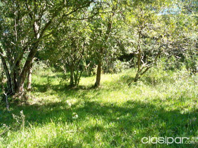 HECTAREAS CURVA S, CAAGUAZU,CORONEL OVIEDO — foto 2