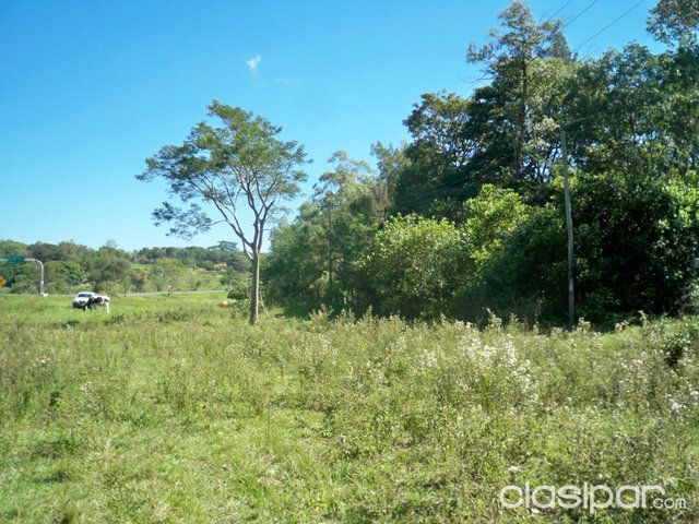 HECTAREAS CURVA S, CAAGUAZU,CORONEL OVIEDO — foto 3