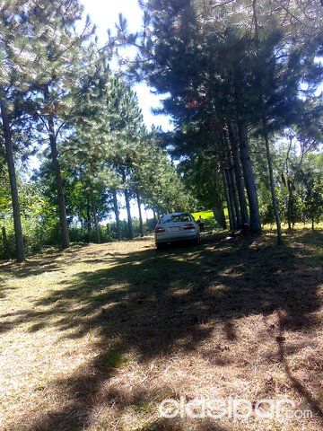 Vendo propiedad Rural 12 hectareas — foto 2