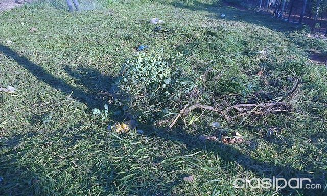 OFERTA HERMOSO TERRENO 12X30 M2!!!!!!!! — foto 3