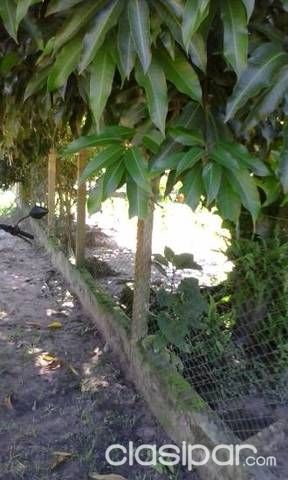 Vendo casa — foto 2