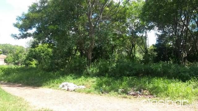 vendo 2 hermosos lotes juntos — foto 2