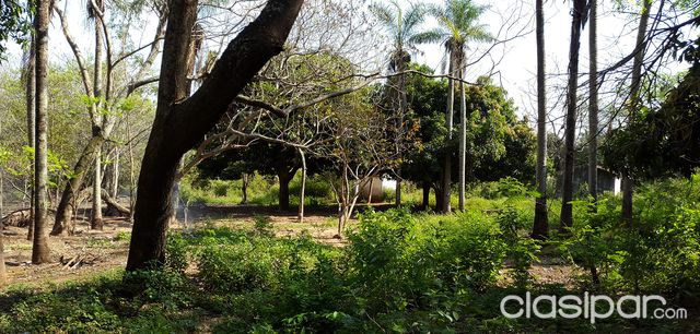 ¡¡¡¡REMATO TERRENOS EN LA CIUDAD DE LIMPIO!!! — foto 2