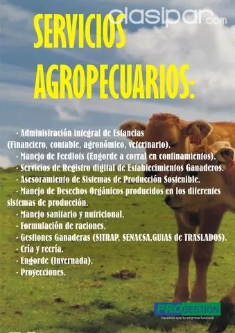 NECESITA VENDER SU PROPIEDAD? NOSOTROS TENEMOS COMPRADORES! — foto 3