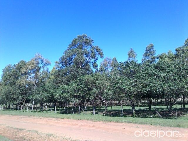 OFERTA VENDO RANCHO — foto 3