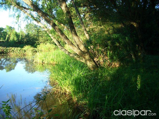 HERMOSA OUINTA 1,5 HA. 2 LINDO CASAS. PARAISO EN ITAUGUA CON LAGO y CLIMA UNICO!!!! — foto 3