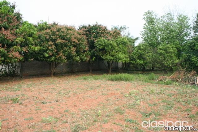VENDO 23 TERRENOS JUNTOS EN TOMPSON-YPANE 13x27 m2 CADA TERRENO — foto 2