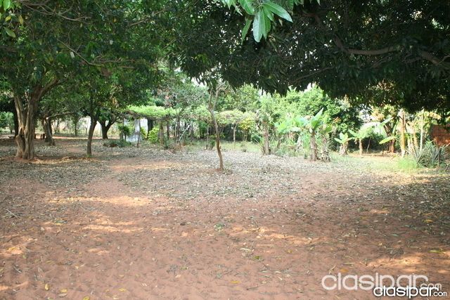 VENDO 23 TERRENOS JUNTOS EN TOMPSON-YPANE 13x27 m2 CADA TERRENO — foto 3
