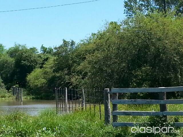 Vendo Campo — foto 2
