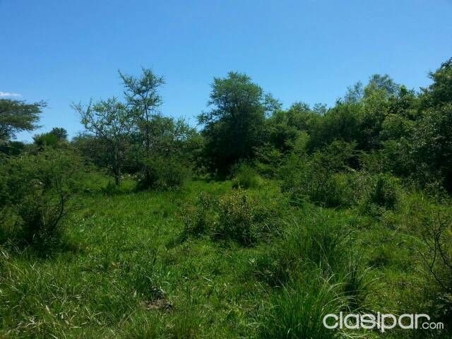 Vendo Campo — foto 3