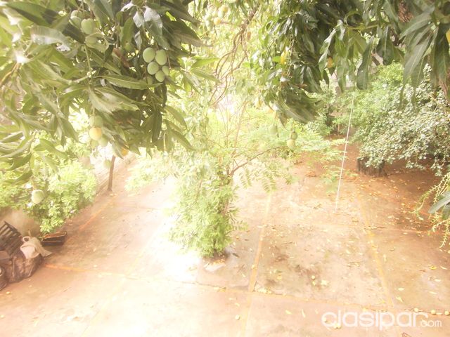 vendo por viaje con suma urgencia!!! — foto 3