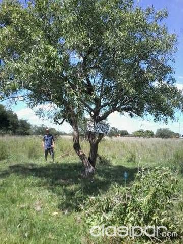 TERRENO EN YPANE FRACCION ACOSTA ÑU — foto 2