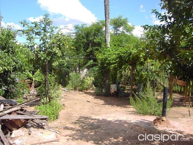 VENDO CASA EN ROQUE ALONSO — foto 3