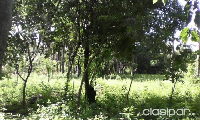 Venta de terreno zona alta — foto 3