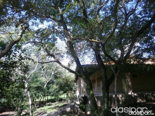Vendo Casa Quinta en Nueva Colombia — foto 3