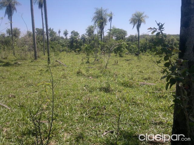 oferto propiedad de 19 hectarea en eusebio ayala — foto 2