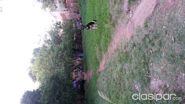 zona san vicente! especial para inversionistas Terreno 764m2 — foto 2