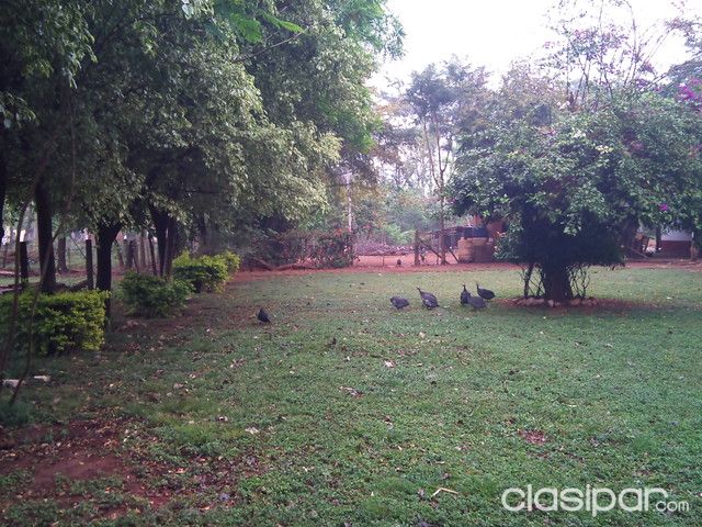 Terreno en San Lorenzo a 20 cuadras del centro, de 85000 mts2. — foto 2