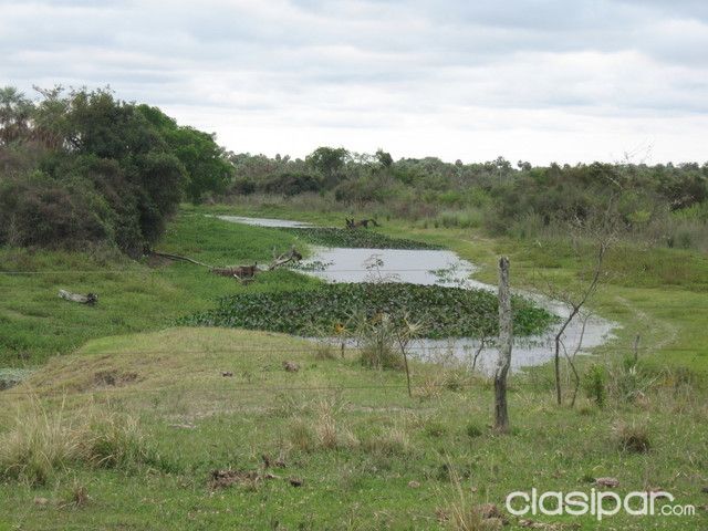 VENDO CAMPO ZONA VILLETA CAMINO A ALBERDI ESPECIAL PARA GANADERIA Y REFORESTACION — foto 2