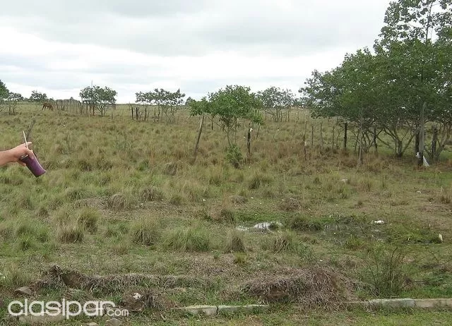 Vendo Terrenos en Villa Florida — foto 2