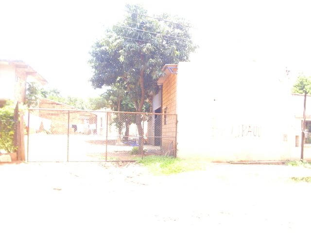 REMATO TINGLADO — foto 3