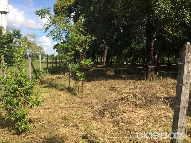Vendo terreno en Cnel. Oviedo. — foto 3