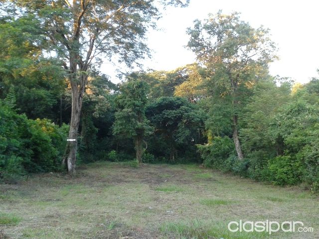 Terreno en luque Zarate Isla — foto 2
