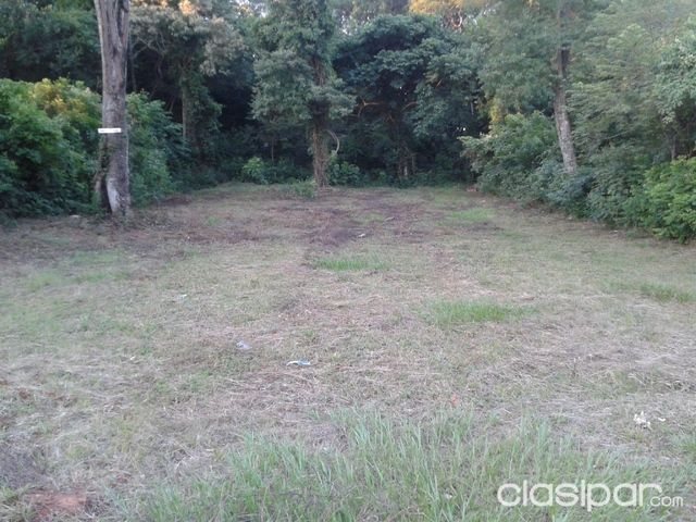 Terreno en luque Zarate Isla — foto 3