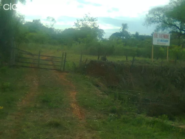 INMEJORABLE 27 HECTAREAS SOBRE RUTA 8 BLAS GARAY, VILLARRICA — foto 2