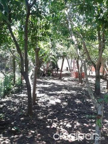 VENDO CASA EN MARIANO ROQUE ALONSO — foto 3