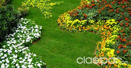 :JARDINERIA VIVERO LOS OLIVOS, QUIERE UN JARDIN DIFERENTE LLAMANOS — foto 2