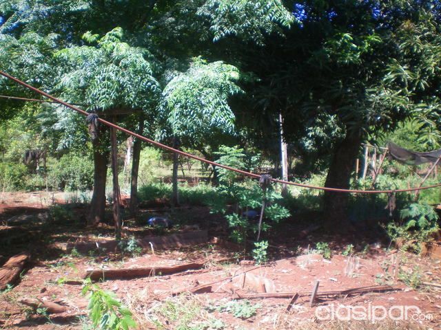 VENDO CDE KM9 MONDAY 9 HECTAREAS — foto 2