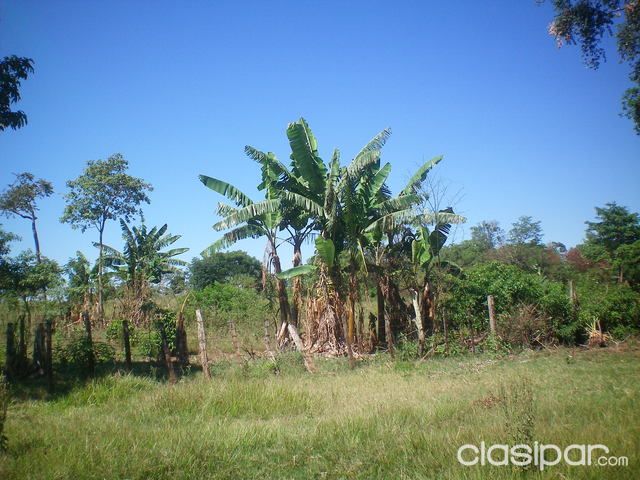 VENDO TERRENO DE 9 Ha (Granja)!!!!!! — foto 3
