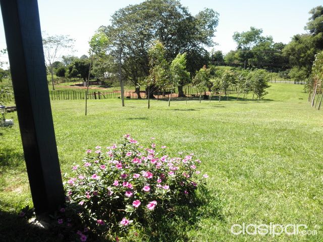 Cerca de Coronel Oviedo Campo bien cuidado — foto 3