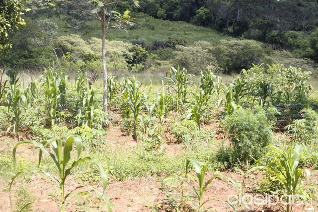 TIERRA FÉRTIL, B° 3 de mayo. Itac. de la Cordillera — foto 3